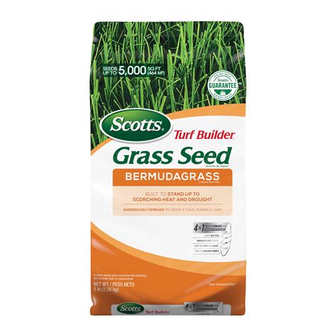 Bermuda grass seed at lowes - Plant this warm-season grass during the late spring or summer in temperatures of 71-80°F for the best results. 5-lb bag of Bermuda grass seed produces a dark green, self-repairing turf grass. …